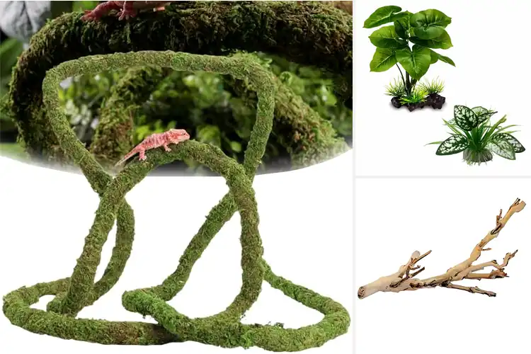 Detailed view of Best Amphibian Terrarium Accessory