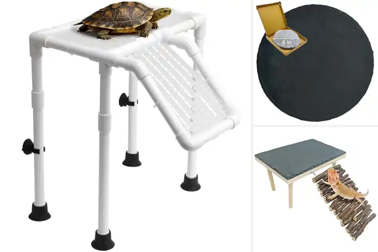 Detailed view of Best Basking Platform For Sun Bathing