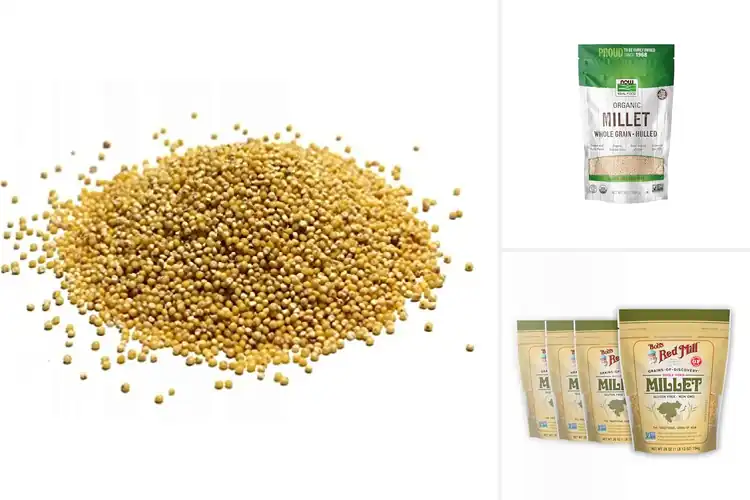 Detailed view of Best Bulk Millet Grains
