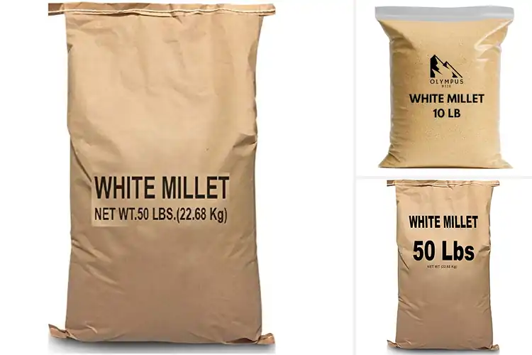 Detailed view of Best Bulk Millet