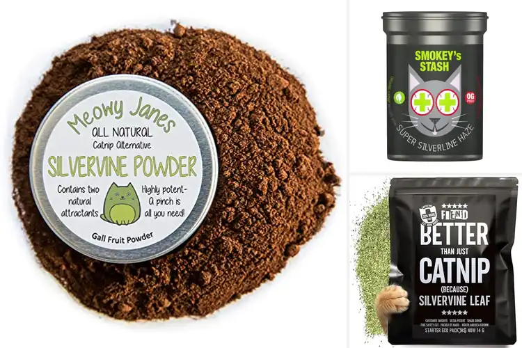 Detailed view of Best Catnip Alternatives for Happy, Active Cats
