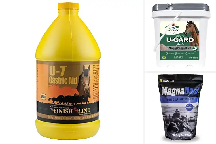 Detailed view of Best Equine Gastric Supplements