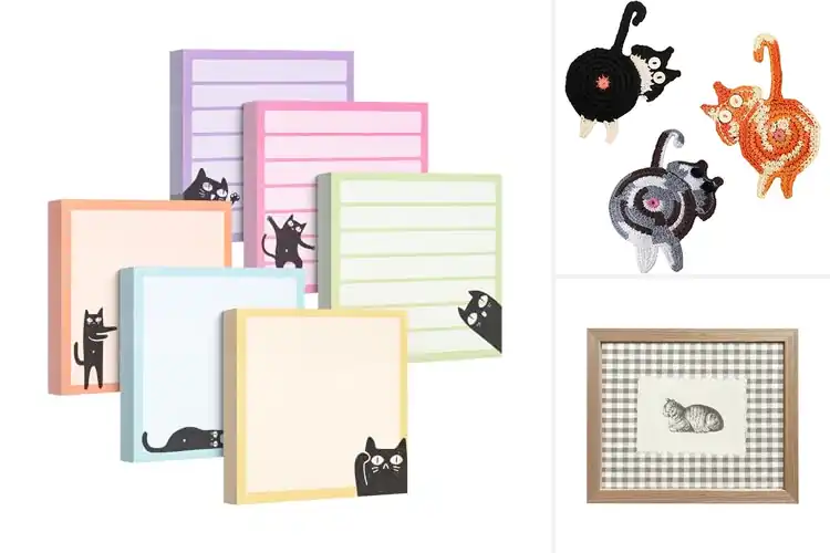 Detailed view of Best Gifts For Cat Lovers