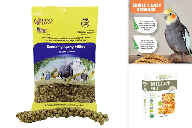 Detailed view of Best GMO Free Millet: Top Picks for Birds & Kitchen