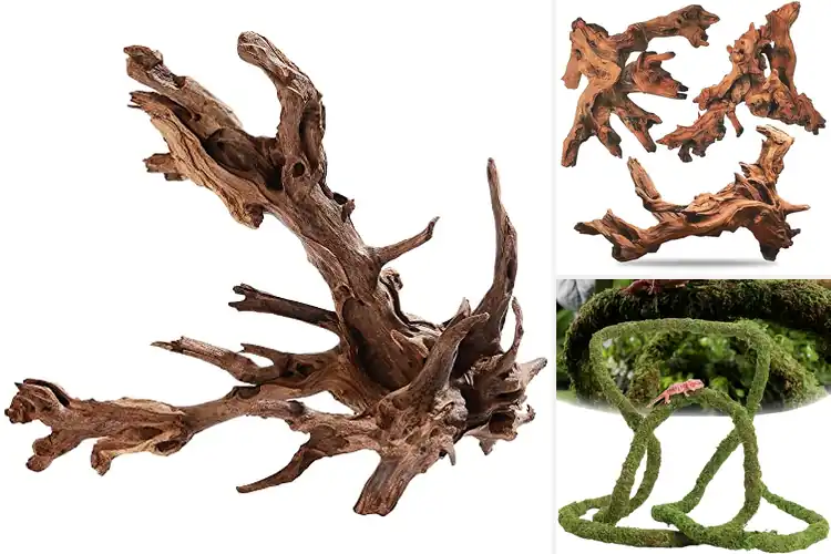Detailed view of Best Large Reptile Terrarium Decor