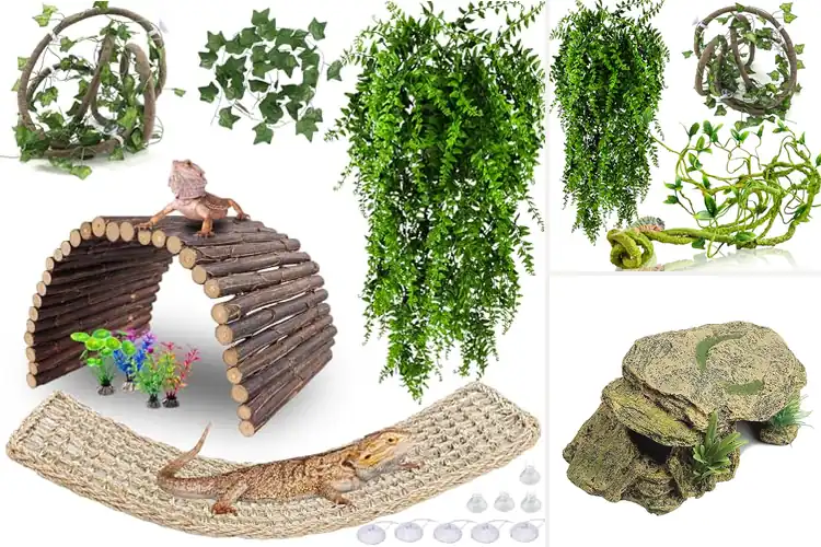 Detailed view of Best Lizard Habitat Decor: Top 10 Picks for a Happy Haven