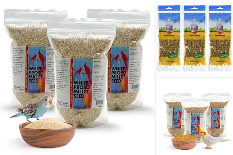 Detailed view of Best Millet 3-Packs: Fresh, Nutritious Meals Made Easy