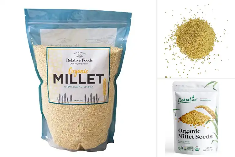 Detailed view of Best Millet Whole Grain Millet Seeds
