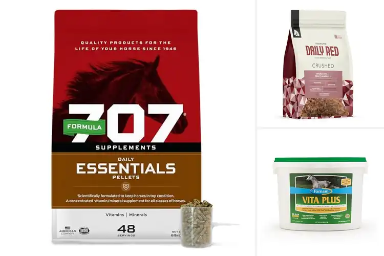 Detailed view of Best Mineral Supplements For Horses