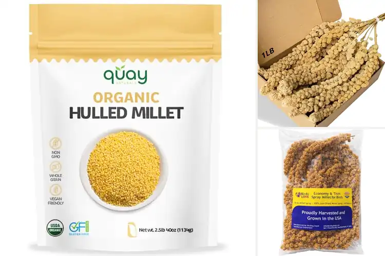 Detailed view of Best Natural Millets