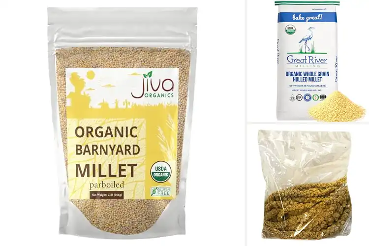 Detailed view of Best Non-GMO Millets: Nourish Your Health