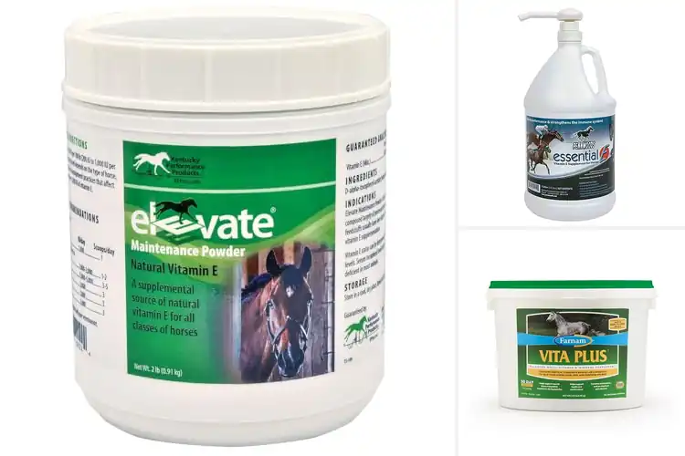 Detailed view of Best Performance Nutrition For Horses