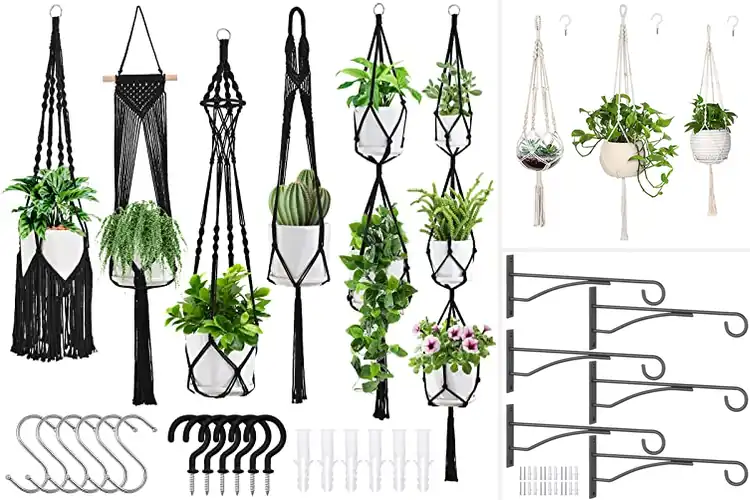 Detailed view of Best Plant Hangers: 10 Top Picks to Elevate Your Space