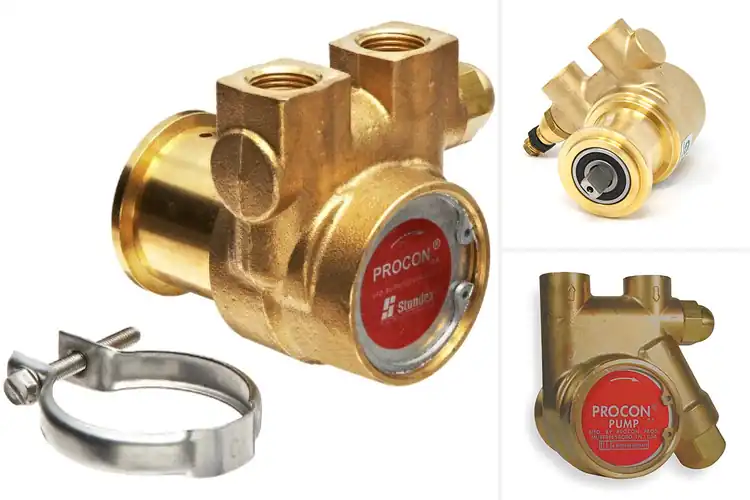 Detailed view of Best Rotary Vane Pumps For Coffee Systems