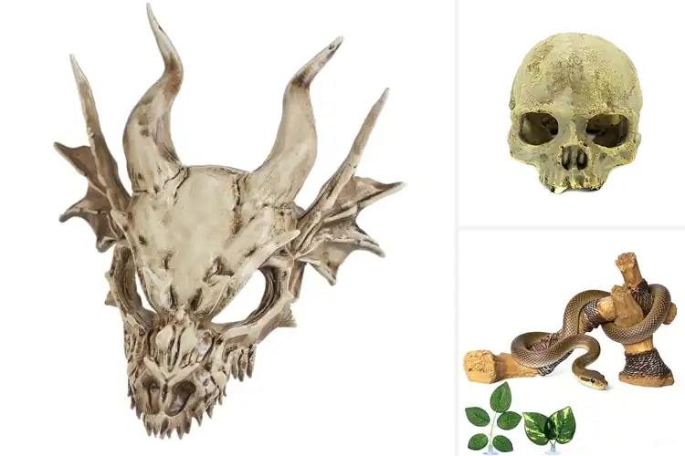 Detailed view of Best Safety Resin Reptile Decor