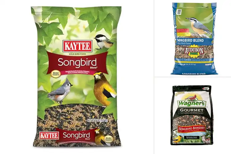 Detailed view of Best Songbird Seeds: Top 10 Picks to Attract Colorful Birds