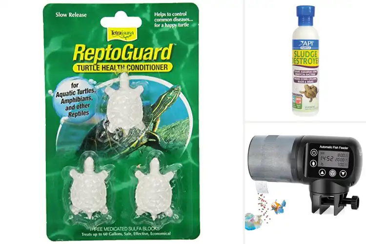 Detailed view of Best Turtle Tank Accessories