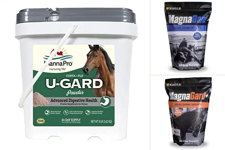 Detailed view of Best Ulcer Prevention Supplements