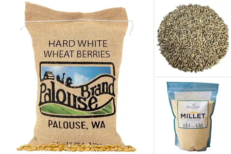 Detailed view of Best Whole Grain Seeds